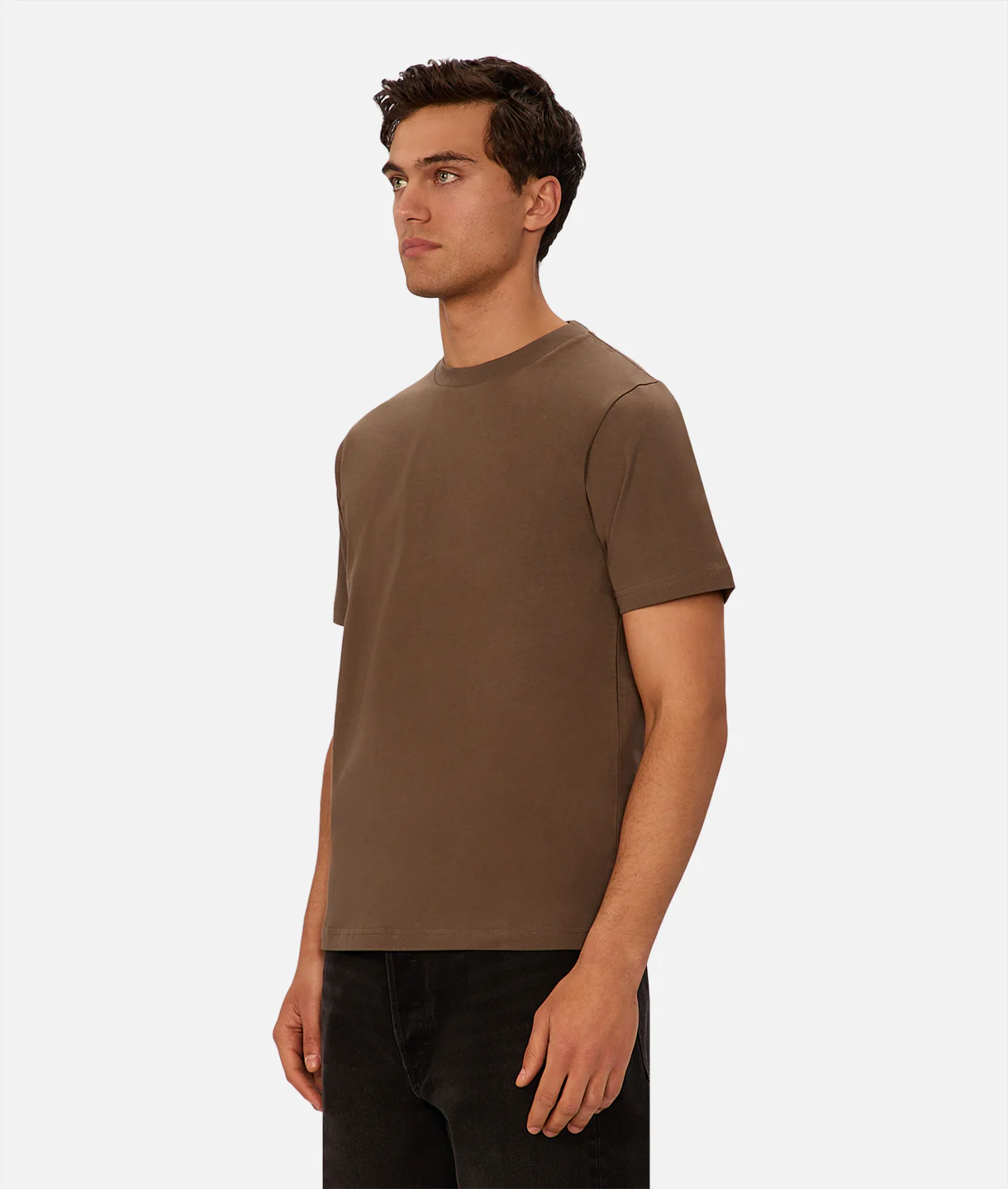 The Classic Crew T-Shirt - Chestnut - Image 3